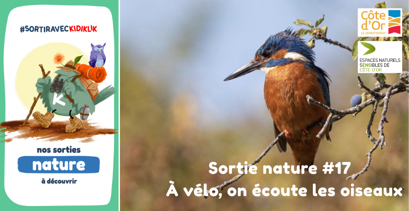 Sortie nature #17 | À vélo, on écoute les oiseaux - - - À la découverte de la Biodiversité en Côte-d'Or