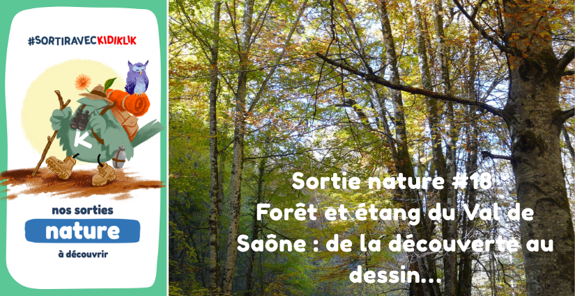 Sortie nature #18 | Forêt et étang du Val de Saône : de la découverte au dessin - - - À la découverte de la Biodiversité en Côte-d'Or