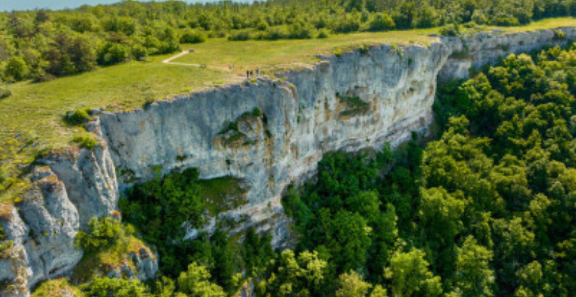Visite en famille de "L'avifaune de l'ENS des falaises de Baulme-la-Roche"