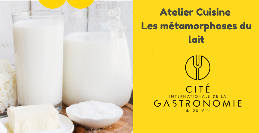 Les métamorphoses du lait : atelier cuisine pour les enfants à la Cité internationale de la gastronomie et du vin à Dijon