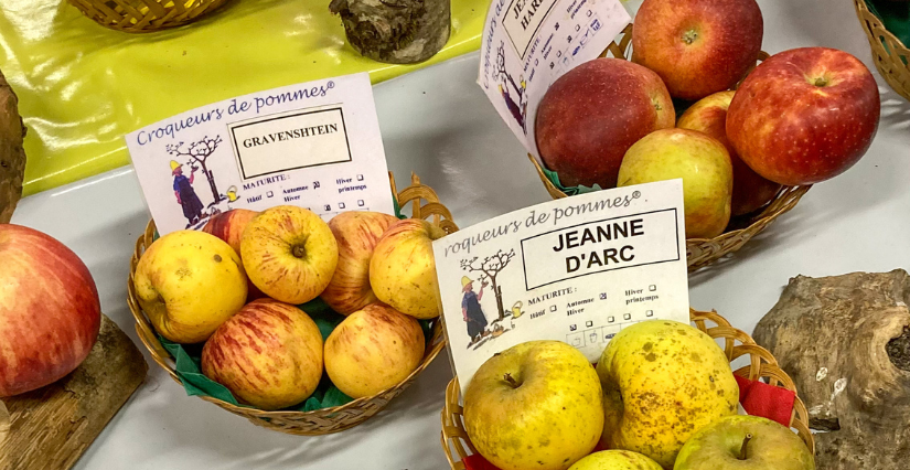 "La Fête de la Pomme" en famille au Musée de plein-air de l'Étang Rouge
