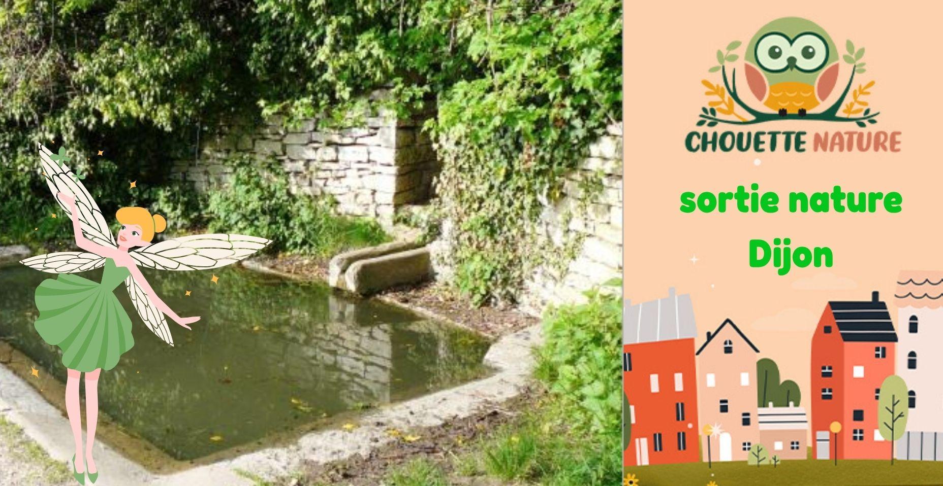 Club nature famille : "Les Secrets de la Fontaine aux Fées" avec Chouette Nature à Dijon - sortie gratuite
