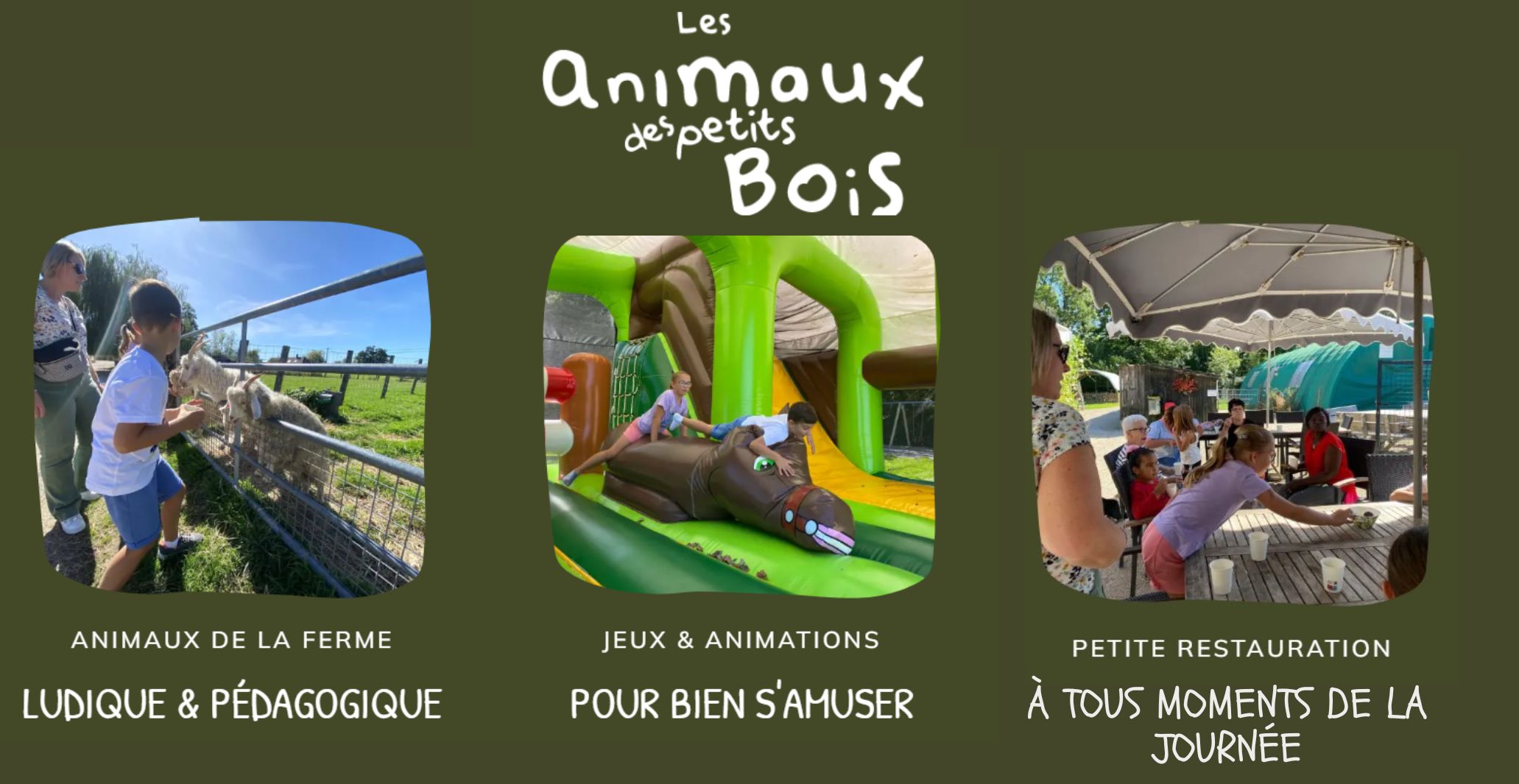animaux des petits bois
