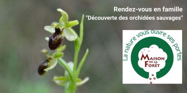 Rendez-vous en famille "Découverte des orchidées sauvages" à la Maison de la Forêt - Leuglay (21)