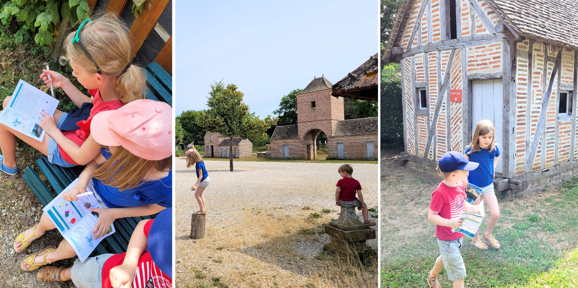 Trois choses à savoir sur l'ouverture de la chasse en Poitou-Charentes