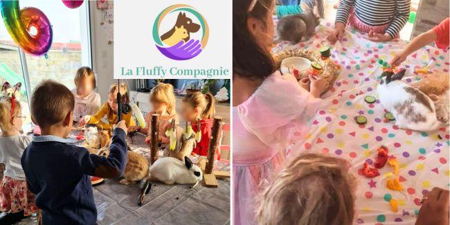 Anniversaire et médiation animale avec la Fluffy Compagnie en Côte-d'Or
