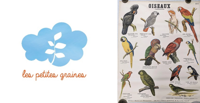 Stage "La nature et les oiseaux" avec Les Petites Graines à Dijon