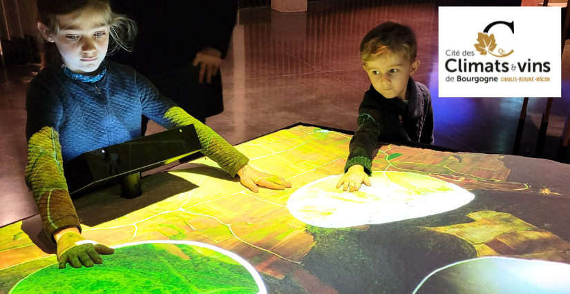 Nocturne à la Cité, dans le cadre de la Nuit des musées, à la Cité des climats et vins de Bourgogne, à Beaune