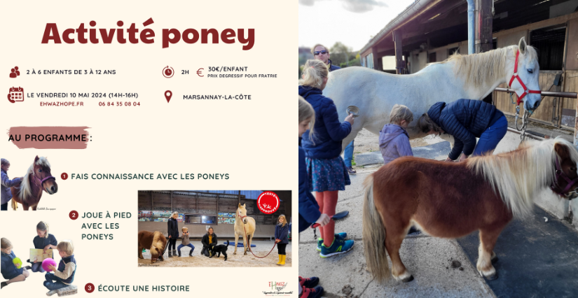 Animations poney pendant les vacances d'été avec Ehwaz Hope à Marsannay-la-Côte