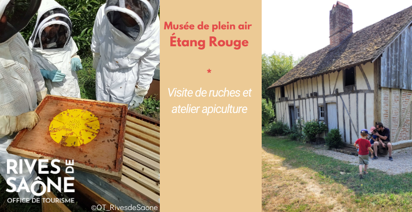 Visite de ruche et atelier apiculture au Musée de plein-air de l'Étang Rouge