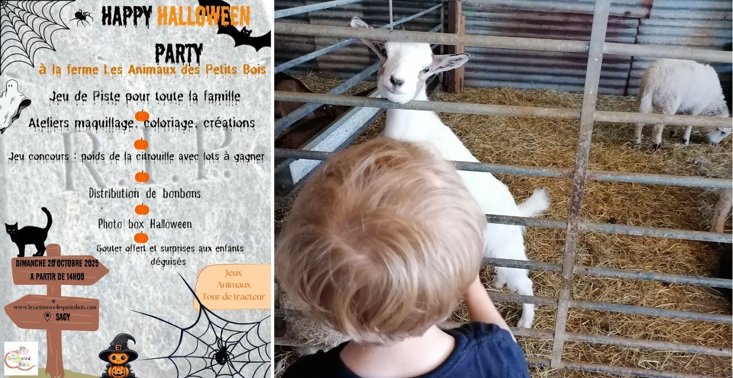 Halloween à la ferme des animaux des petits bois à Sagy