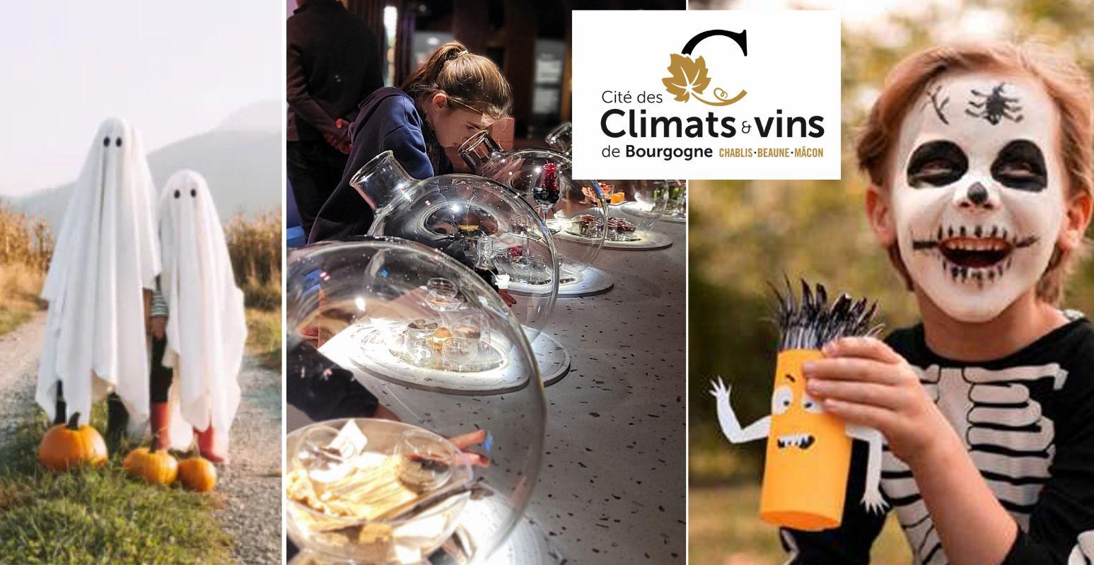 Enquête jeu "À la recherche des chauves souris" à la Cité des Climats et vins de Bourgogne, Beaune