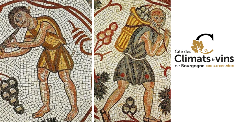 Activité famille "Création d'une mosaïque" à la Cité des climats et vins de Bourgogne, à Beaune