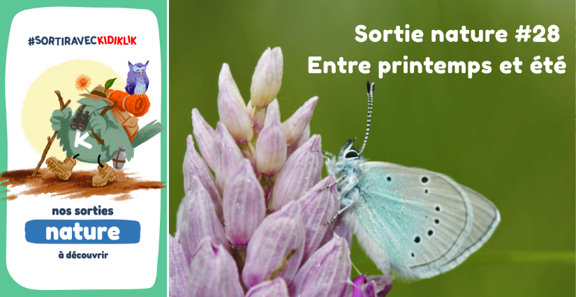 Sortie nature #28 | Entre printemps et été - - - À la découverte de la Biodiversité en Côte-d'Or