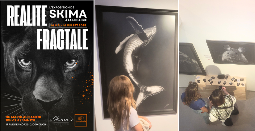 Exposition à découvrir en famille à Dijon : SKIMA s’invite à La Miellerie !