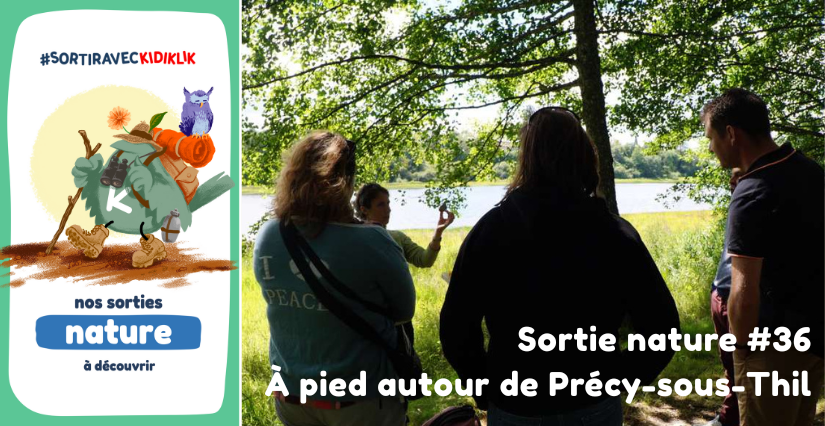 Sortie nature #36 | À pied autour de Précy-sous-Thil - - - À la découverte de la Biodiversité en Côte-d'Or