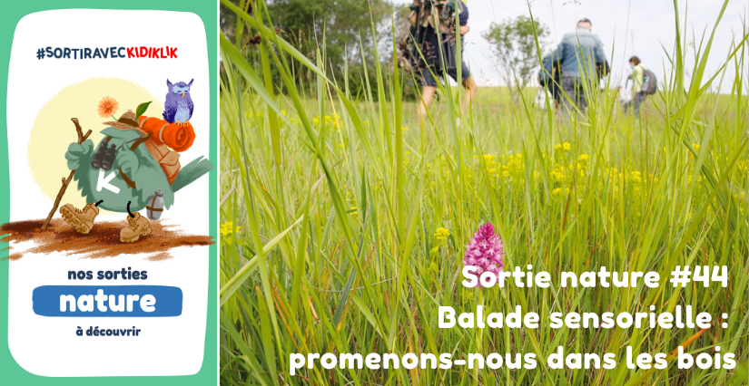 Sortie nature #44 | Balade sensorielle : promenons-nous dans les bois - - - À la découverte de la Biodiversité en Côte-d'Or