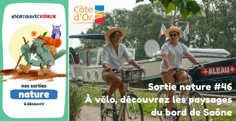 Sortie nature #46 | À vélo, découvrez les paysages du bord de Saône - - - À la découverte de la Biodiversité en Côte-d'Or