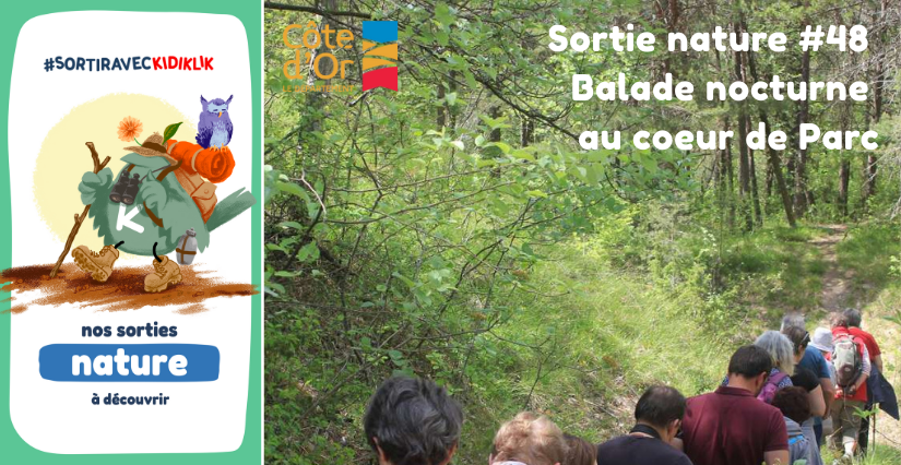 Sortie nature #48 | Balade nocturne au coeur de Parc - - - À la découverte de la Biodiversité en Côte-d'Or
