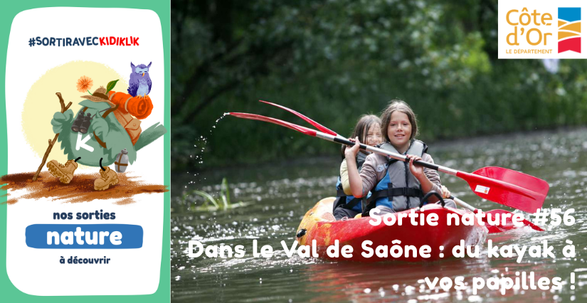 Sortie nature #56 | Dans le Val de Saône : du kayak à vos papilles ! - - - À la découverte de la Biodiversité en Côte-d'Or