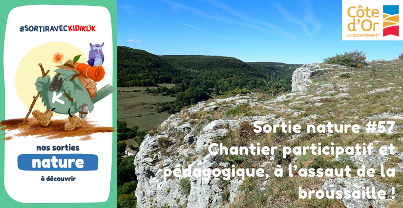 Sortie nature #57 | Chantier participatif et pédagogique, à l’assaut de la broussaille ! - - - À la découverte de la Biodiversité en Côte-d'Or Sortie nature #57 | Chantier participatif et pédagogique, à l’assaut de la broussaille ! - - - À la découverte de la Biodiversité en Côte-d'Or