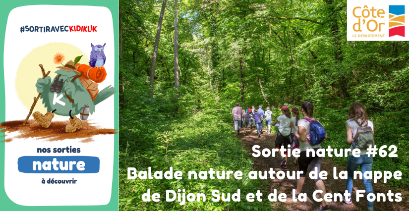 Sortie nature #62 | Balade nature autour de la nappe de Dijon Sud et de la Cent Fonts - - - À la découverte de la Biodiversité en Côte-d'Or