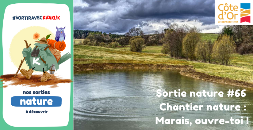 Sortie nature #66 | Chantier nature : Marais, ouvre-toi ! - - - À la découverte de la Biodiversité en Côte-d'Or