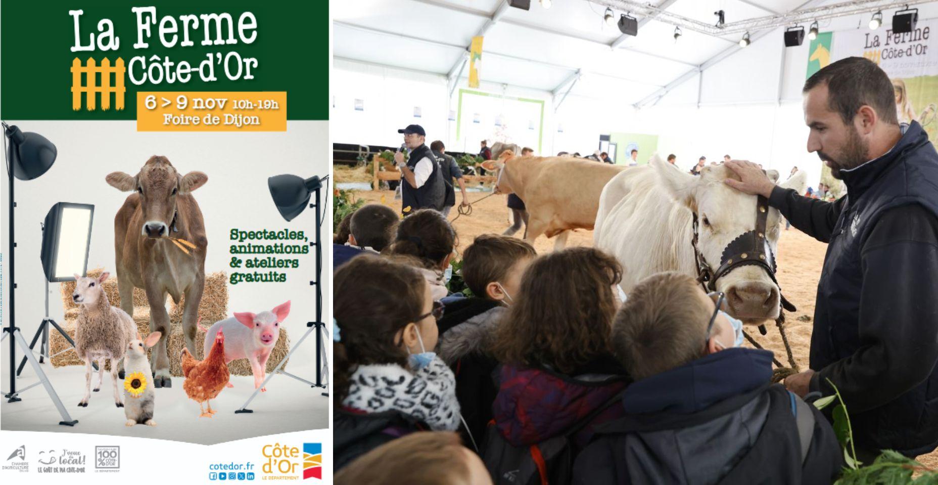 Tous à la Ferme Côte-d’Or ! un événement familial au Parc des Expositions de Dijon.