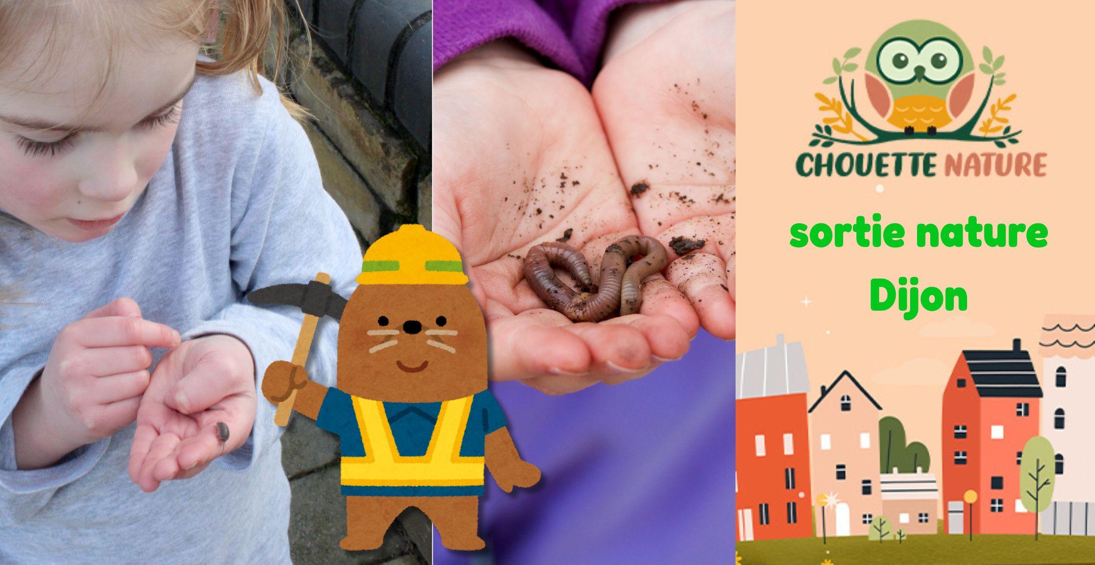 Club nature famille : " Les super-héros du sol nettoient leur royaume!" avec Chouette Nature à Dijon