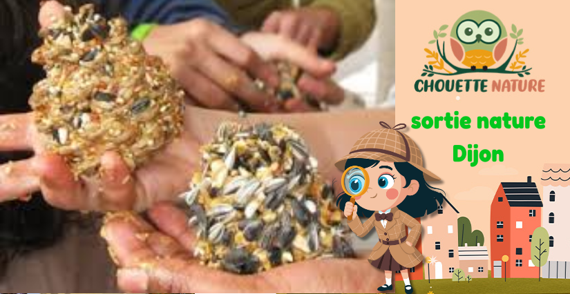 Club nature famille : "Mission comptage des oiseaux du jardin" avec Chouette Nature à Dijon