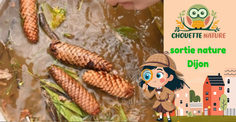 Club nature famille : "La Boue des Rois" avec Chouette Nature à Dijon