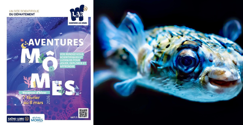 "Méfie-toi du calme des profondeurs" : enquête en famille pendant les vacances d'hiver au Lab71 Image