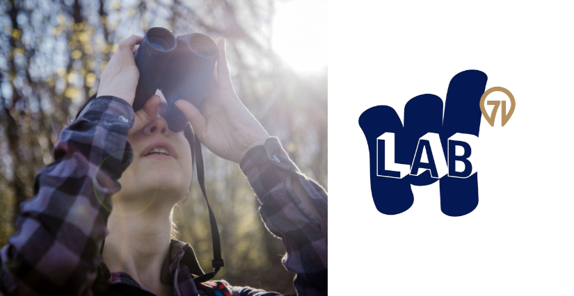 A la découverte des oiseaux, animation famille au Lab 71