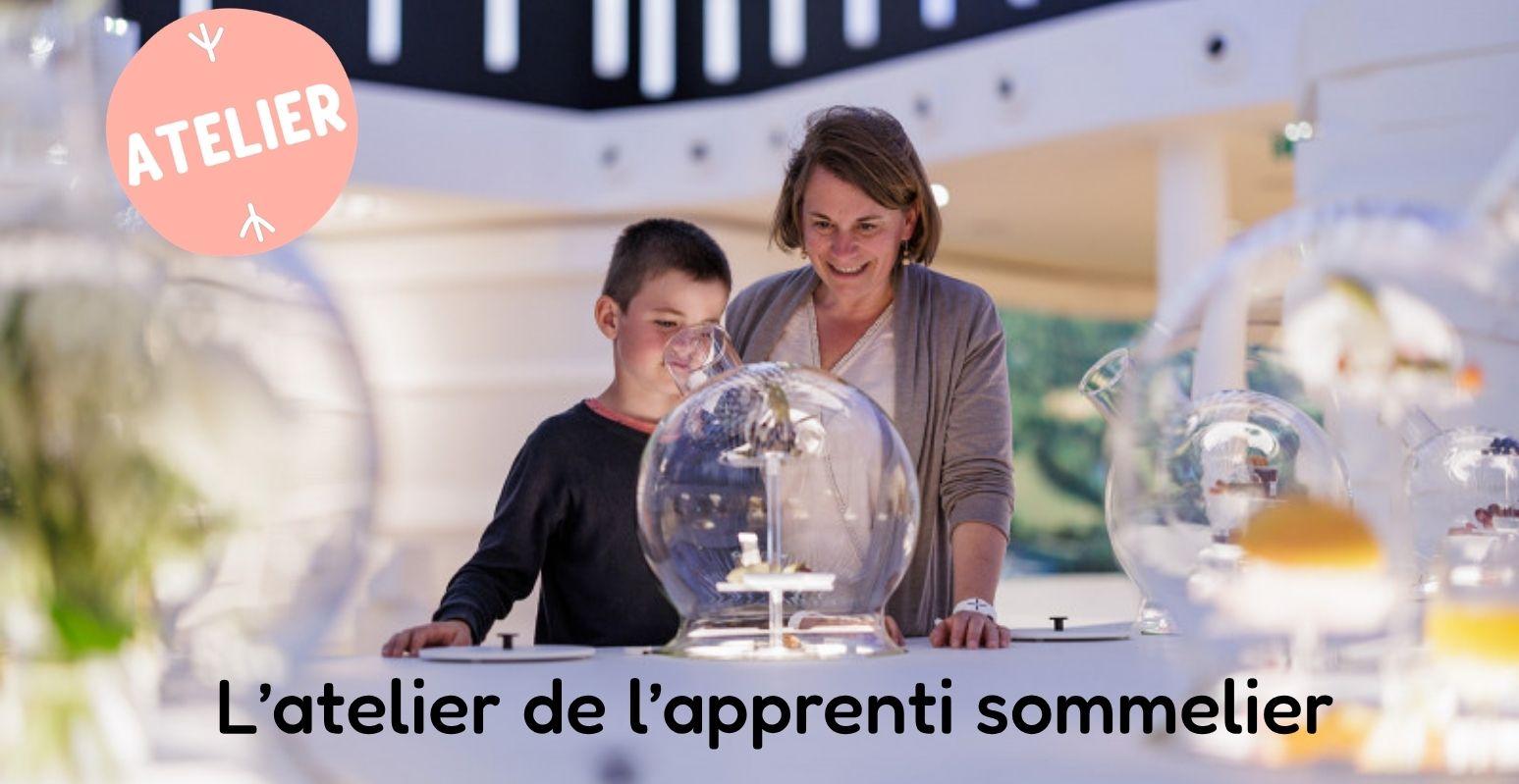 L’atelier de l’apprenti sommelier à l'École des Vins de Bourgogne à Dijon