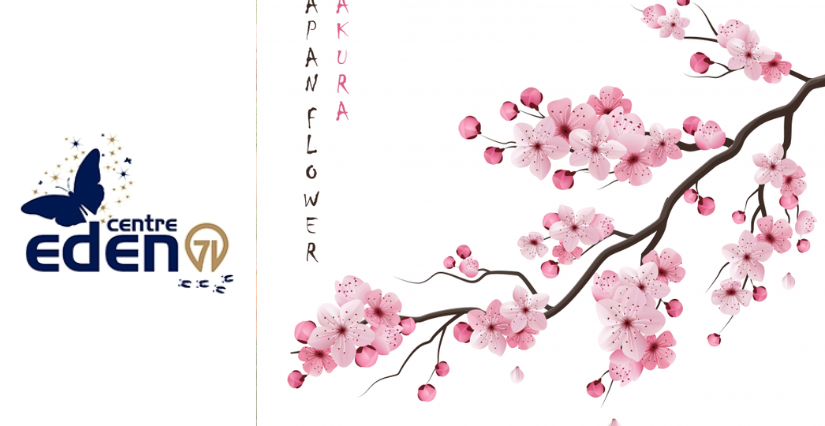 Atelier fleurs de printemps - sakura : atelier en famille au Centre Eden - centre éducatif nature et découverte à Cuisery (71)