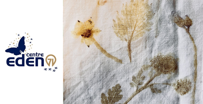 Atelier tataki zomé : atelier en famille au Centre Eden - centre éducatif nature et découverte à Cuisery (71)