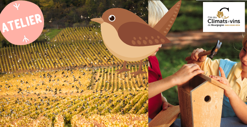 Activité famille : Crée ton nichoir et ta mangeoire à oiseaux ! à la Cité des Climats à Beaune