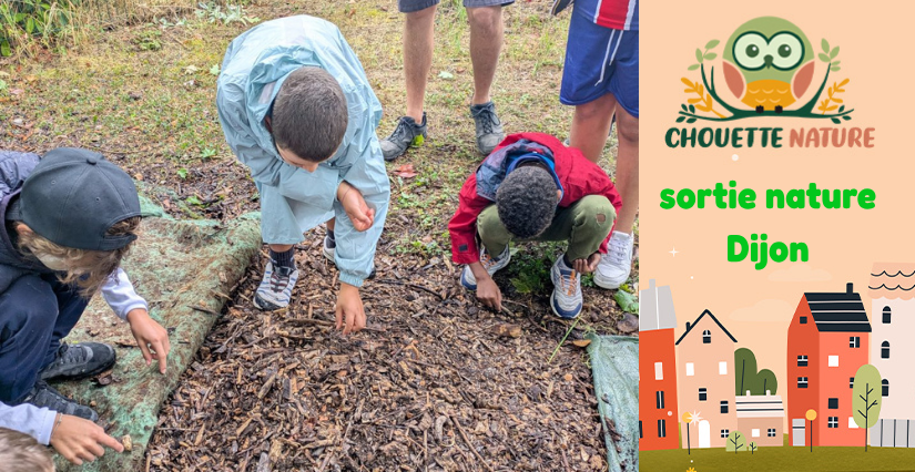 Club nature famille : "Sauver le Sol Vivant " avec Chouette Nature à Dijon