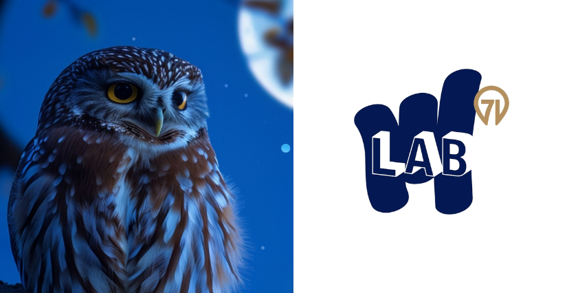 "Crime nocturne", animation de l'été au Lab 71 cet été en Bourgogne