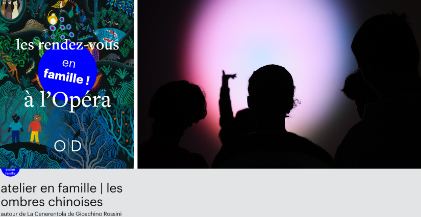 "Les ombres chinoises", atelier en famille à l'Opéra de Dijon