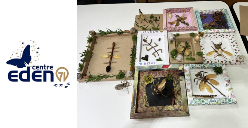 "Atelier Cabinet de Curiosité", atelier des vacances au Centre Eden - centre éducatif nature et découverte à Cuisery (71)