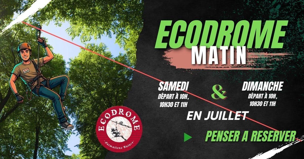 NOUVEAUX HORAIRES ACCROBRANCHE ECODROME : samedi et dimanche matin au parc de la Colombière à Dijon