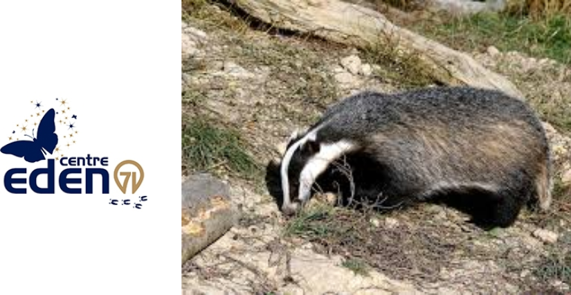 "La forêt du blaireau", animation nature pour les tout petits au Centre Eden - centre éducatif nature et découverte à Cuisery (71)