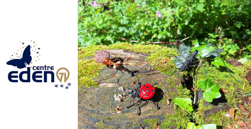 "Insecte en métal", atelier créatif au Centre Eden - centre éducatif nature et découverte à Cuisery (71)