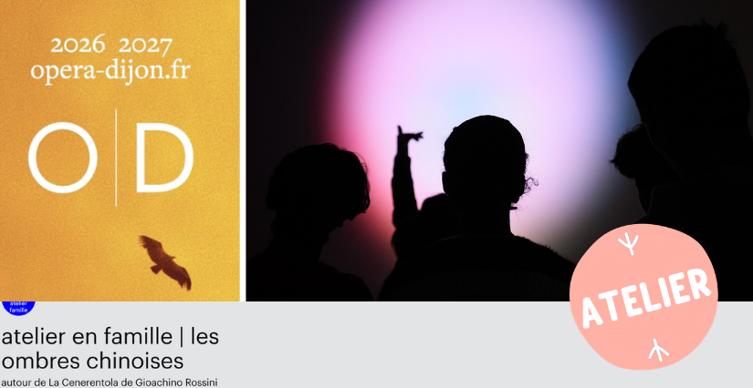 "Les ombres chinoises", atelier en famille à l'Opéra de Dijon