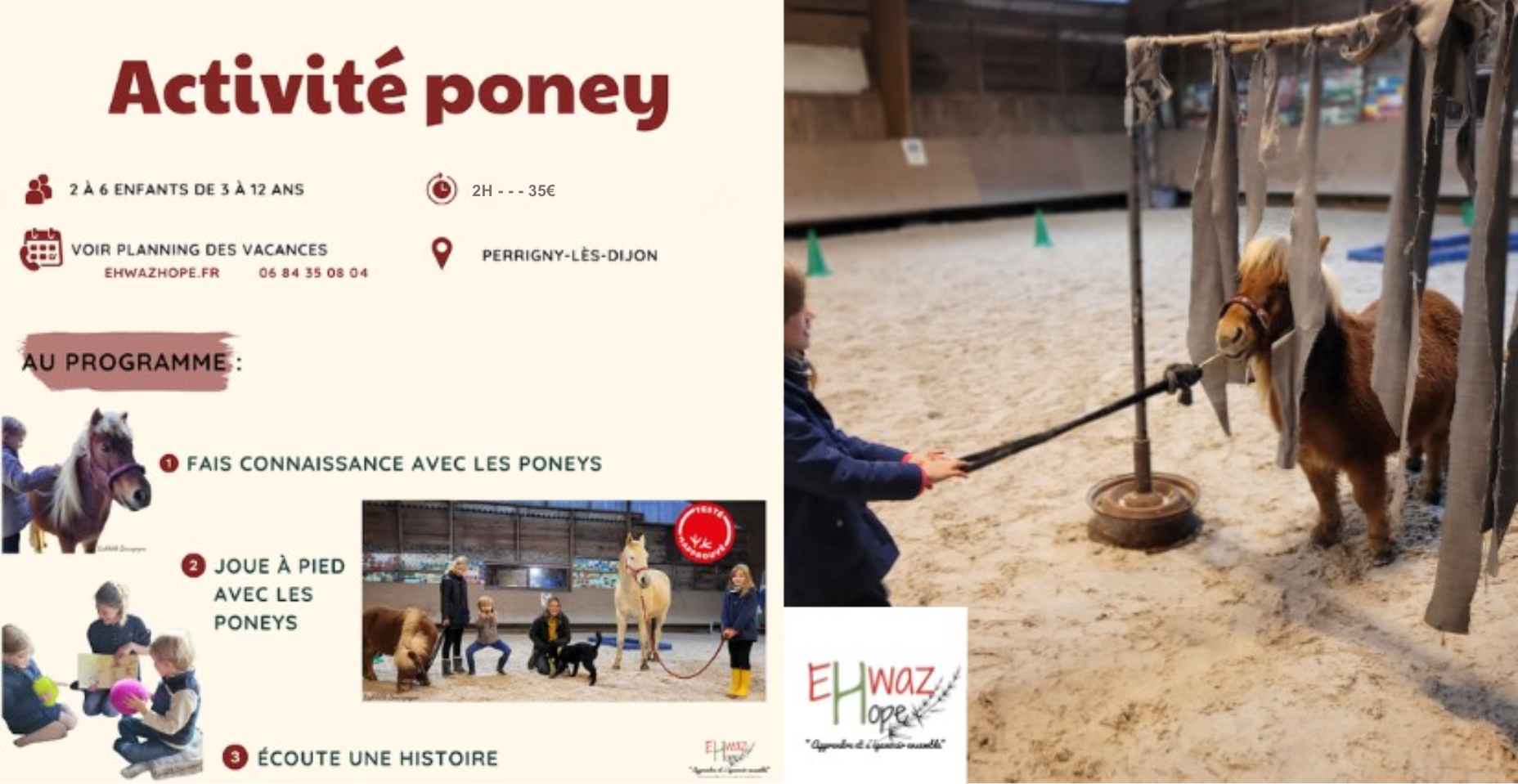 Activité poney avec Ehwaz Hope à Perrigny-les-Dijon