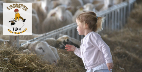 Visite-découverte de la vie à la ferme à la Ferme de l'Abrepin à Francheville