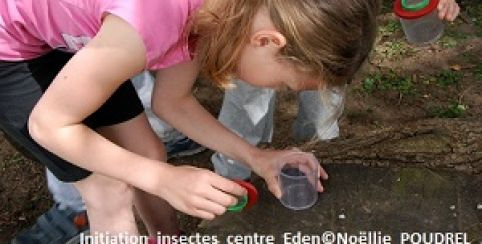 Animation enfant "Insecte, qui es-tu ?" au Centre Eden - centre éducatif nature et découverte à Cuisery (71) 