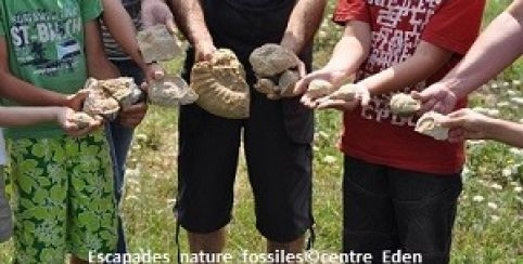 Sortie à la journée "L'aventure fossiles", dès 7 ans au Centre Eden - centre éducatif nature et découverte à Cuisery (71)