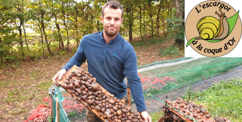 Sortez de votre coquille pour aller visiter un élevage d'escargots 100% local en plein-air!